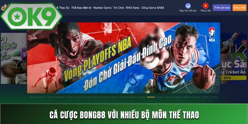 Cá cược bong88 với nhiều bộ môn thể thao